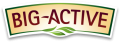Logo Big-Active
